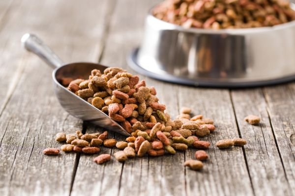 Trockenfutter katze, futter Trockenfutter Katze: Schaufel mit Futter