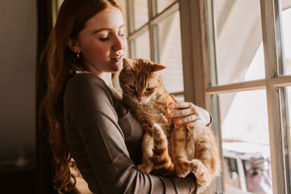 katzenfloehe-am-menschen (3) Katzenflöhe am Menschen: Mensch hält Katze auf dem Arm
