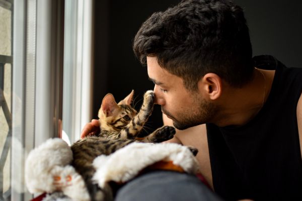 können-katzen-krankheiten-übertragen (2) Können Katzen Krankheiten übertragen? Katze legt Pfote bei einem Mann auf die Nase