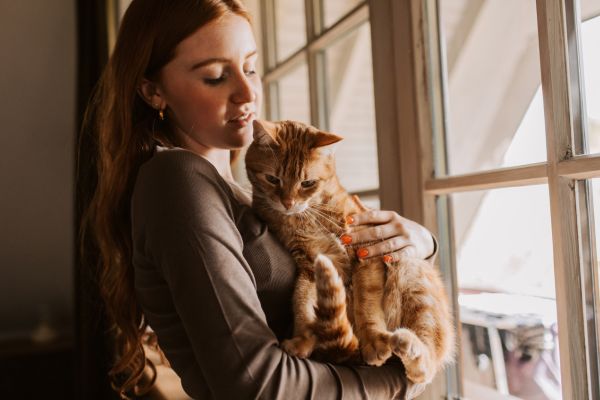 können-katzen-krankheiten-übertragen (3) Können Katzen Krankheiten übertragen? frau hält Katze auf dem Arm