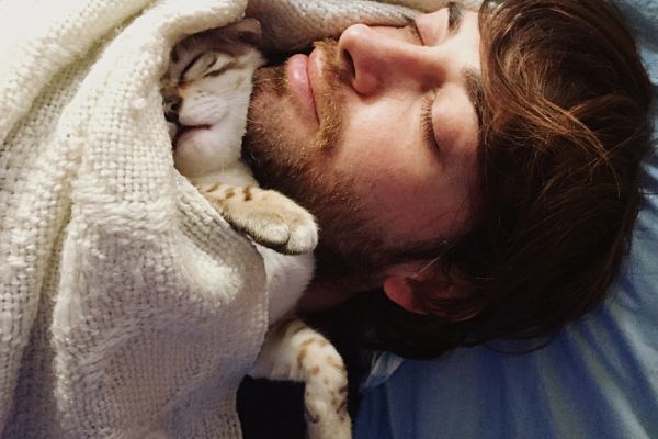 Katze sehr anhänglich: Katze mit unter Bettdecke