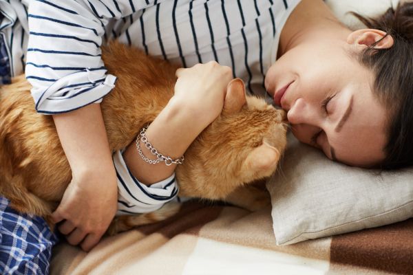 Katze sehr anhänglich: Katze kuschelt mit Frau