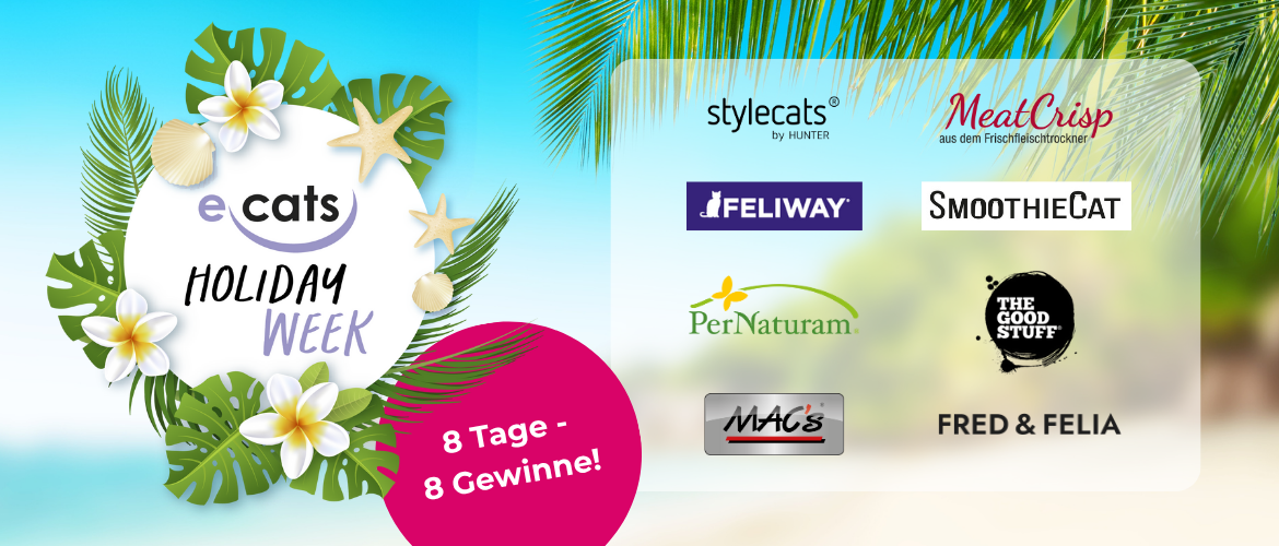 Instagram Post (1) ecats Holiday Week: Gewinne beim goßen Sommer-Gewinnspiel Preise im Gesamtwert von 1500€
