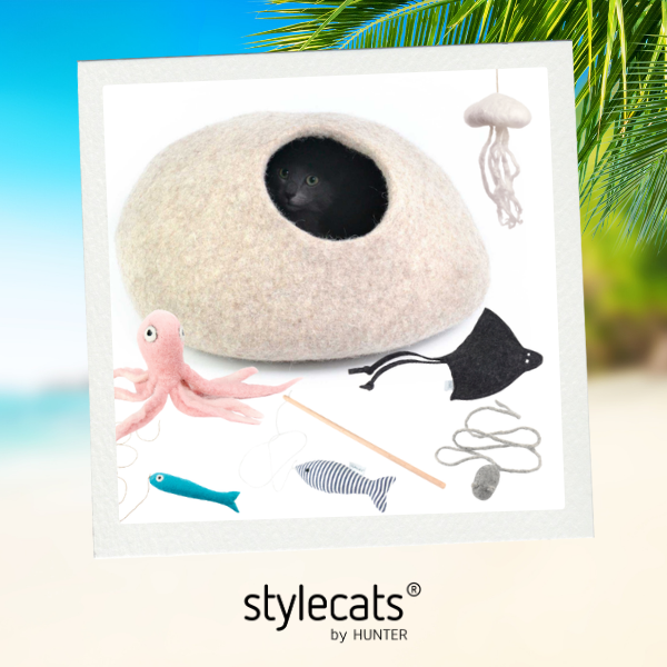 ecats Holiday Week: Gewinne beim goßen Sommer-Gewinnspiel - Tag 1