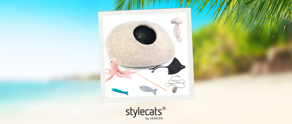 Tag 1 ecats Holiday Week: Gewinne beim goßen Sommer-Gewinnspiel - Tag 1