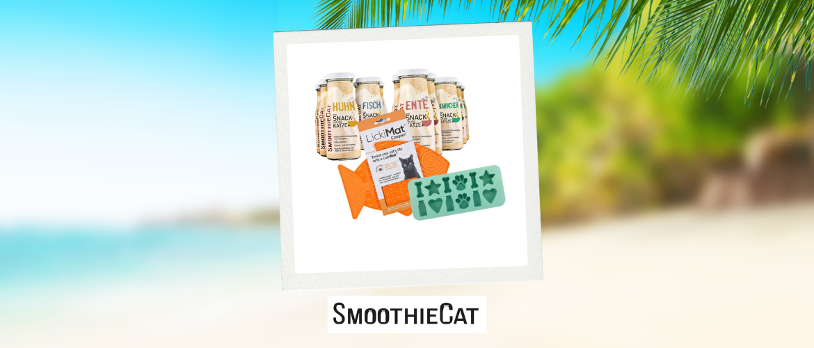 Tag 2 ecats Holiday Week: Gewinne den Preis von SmoothieCat