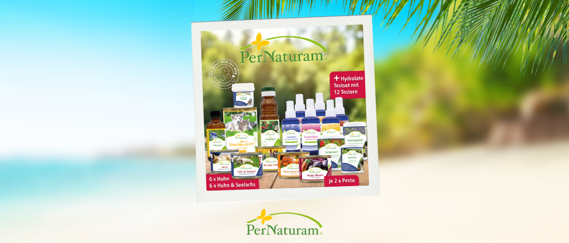ecats Holiday Week: Gewinne beim goßen Sommer-Gewinnspiel - Tag 3