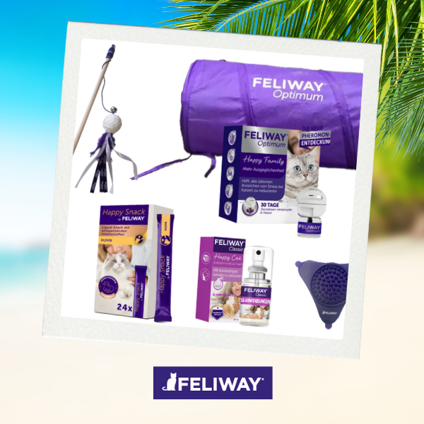 ecats Holiday Week: Gewinne den Preis von Feliway