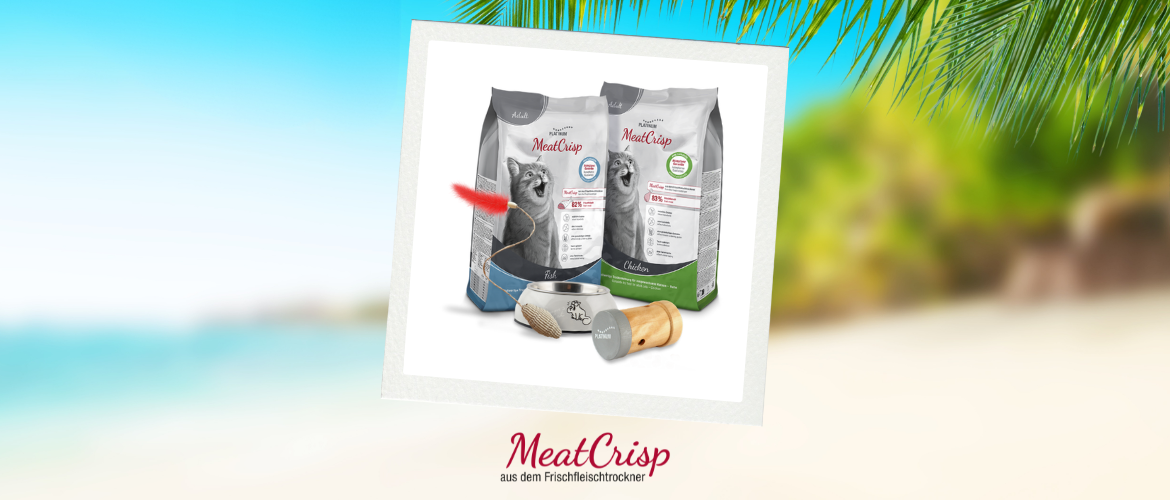 Tag 5 ecats Holiday Week: Gewinne den Preis von MealCrisp