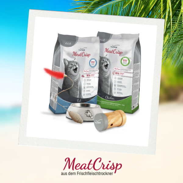 ecats Holiday Week: Gewinne den Preis von MealCrisp