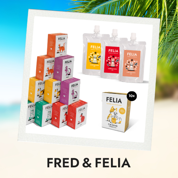 ecats Holiday Week: Gewinne beim goßen Sommer-Gewinnspiel - Tag 6