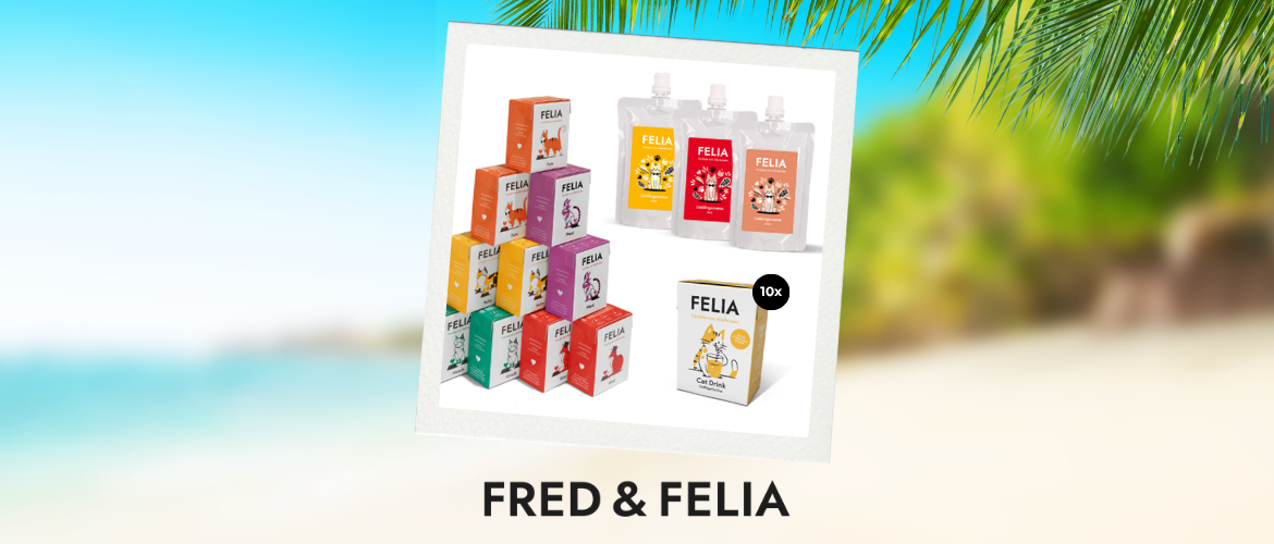 ecats Holiday Week: Gewinne beim goßen Sommer-Gewinnspiel - Tag 6
