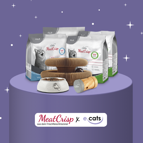 Adventsspecial: MeatCrisp Gewinn