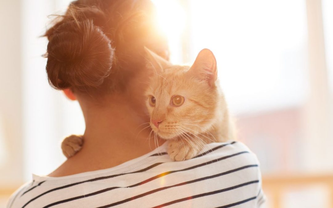 Katzenflöhe am Menschen: Mensch hält Katze auf dem Arm