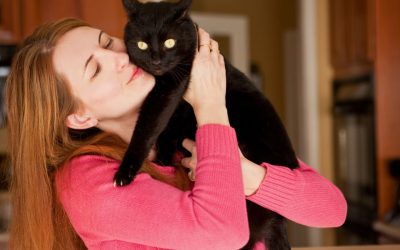 Deine Katze ist sehr anhänglich? Das steckt dahinter
