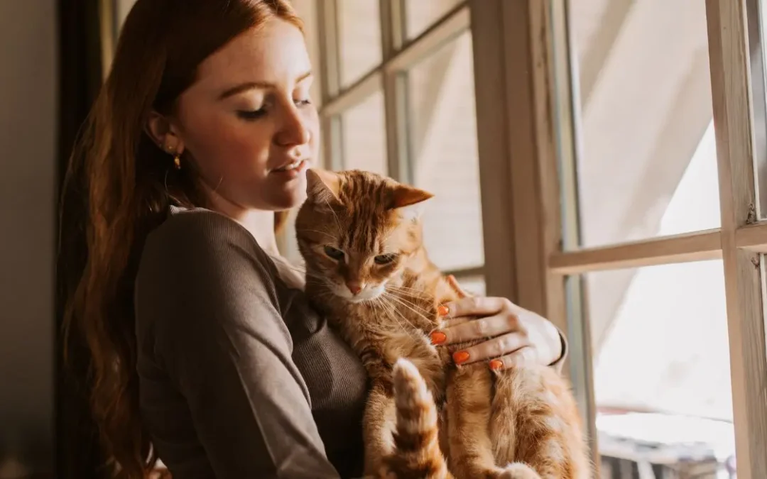 Katzenjahre: orangene Katze auf dem Arm einer Frau vor Fensterfront