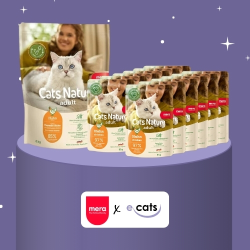 Dritter Advent: Gewinn von Mera