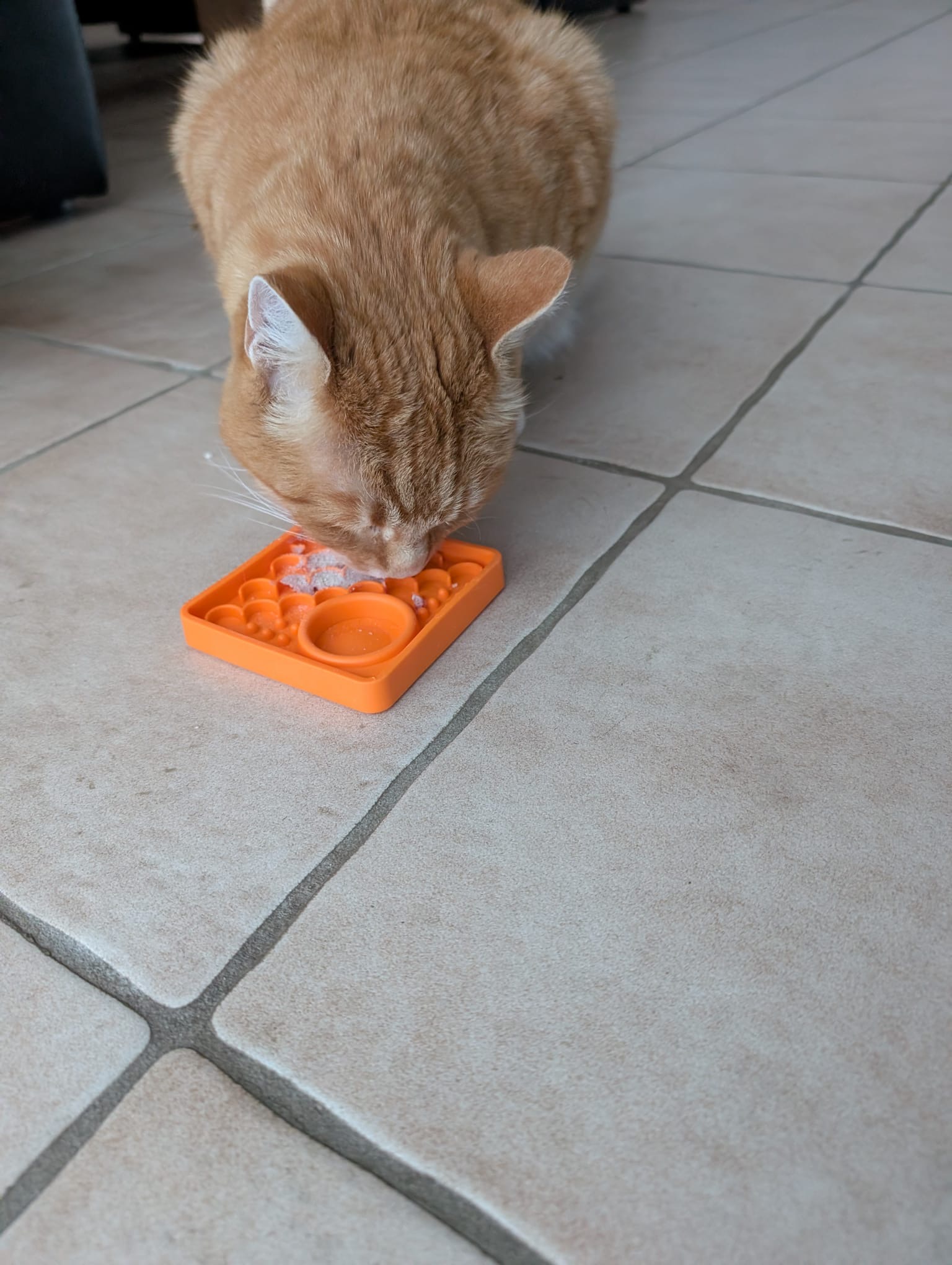 Ronny testet das Pulled Beef – Turkey von Leonardo