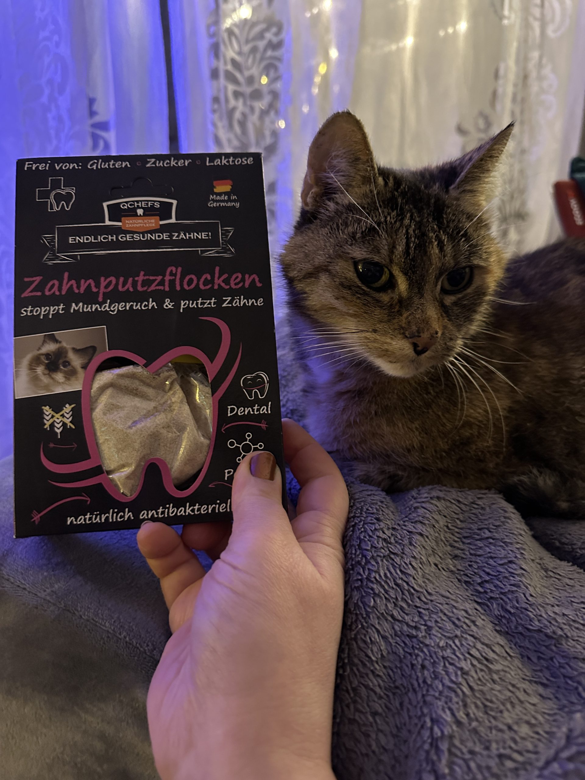 Erfahrungen mit qpet Zahnputzflocken