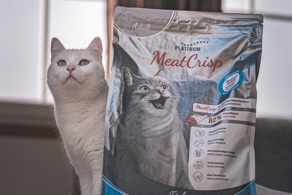 Consurso Completo Cross Country