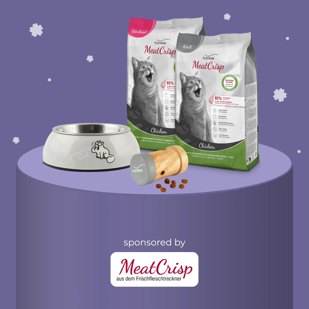 Werbegrafik für ein Gewinnspiel von Platinum MeatCrisp. Auf einem fliederfarbenen Podest sind zwei Packungen MeatCrisp Katzenfutter (Sorten „Sterilised“ und „Adult“, jeweils in der Geschmacksrichtung Huhn), ein weißer Futternapf mit „Simon's Cat“-Illustration sowie ein hölzerner Leckerli-Spender mit verstreuten Futterstücken abgebildet. Der Hintergrund ist violett mit dezenten weißen Blütenmotiven. Am unteren Rand steht der Schriftzug „sponsored by MeatCrisp aus dem Frischfleischtrockner“.