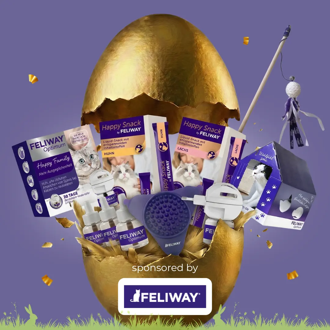 202603_OSTERGEWINNSPIEL_ECATS_FELIYWAY_0426 Oster-Gewinnspiel mit FELIWAY