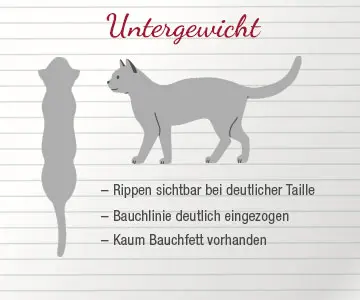 Info Chart Untergewicht
