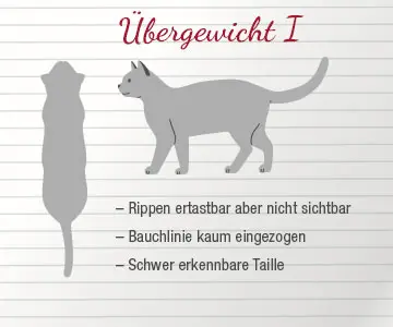 Info Chart Übergewicht I