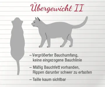 Info Chart Übergewicht II