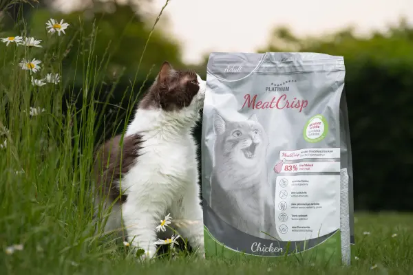 Braungewölkte Katze beschnuppert eine große Packung Platinum MeatCrisp Katzenfutter auf einer grünen Wiese mit Gänseblümchen.