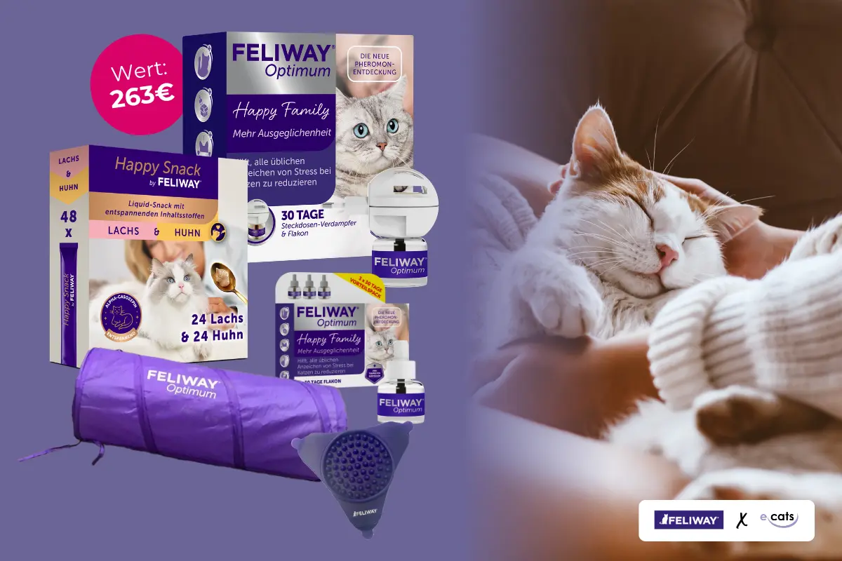 Produktpaket von FELIWAY Optimum und Happy Snack im Wert von 263 € sowie eine entspannt schlafende Katze, die gestreichelt wird.