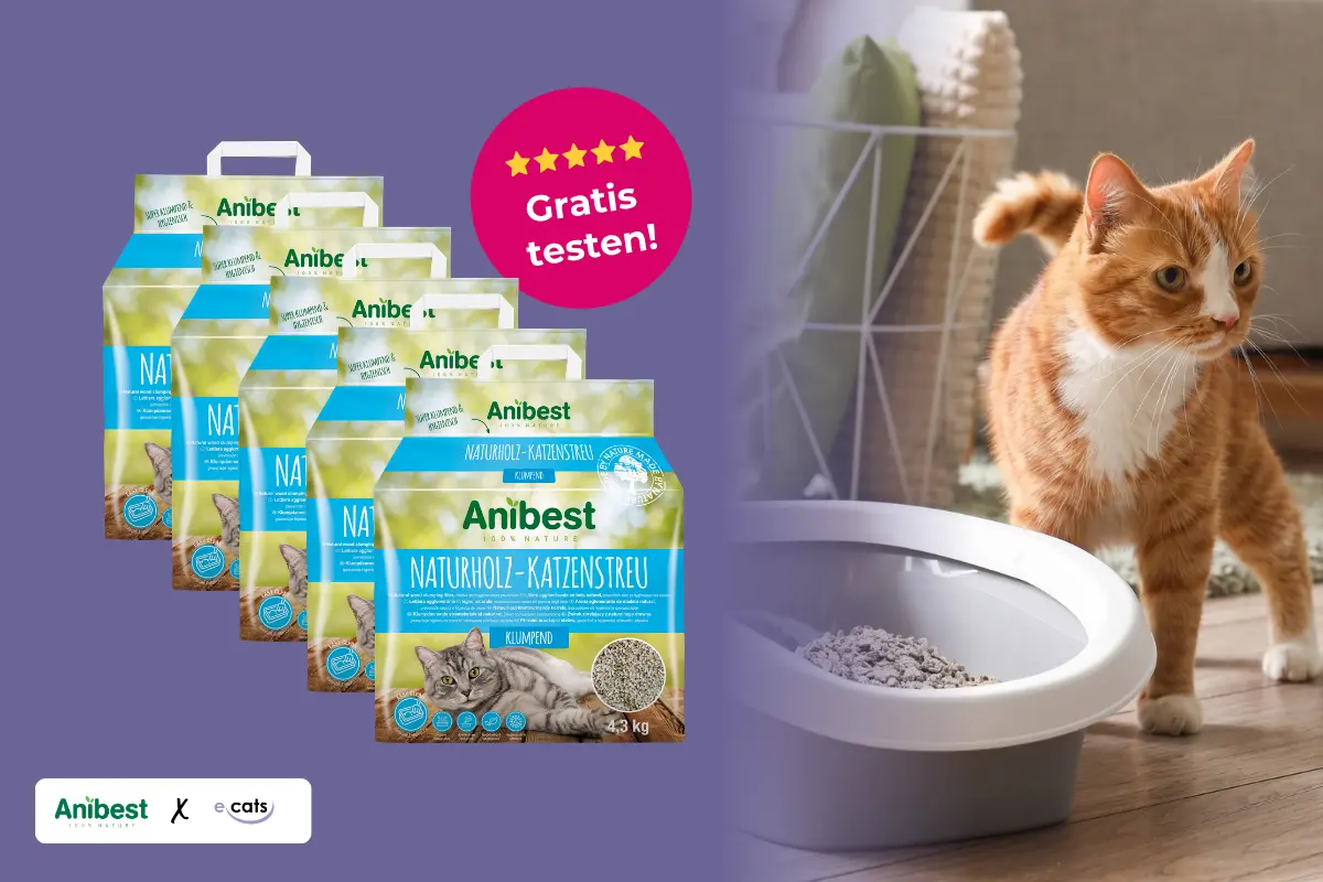 Rot-weiße Katze neben einem Katzenklo mit Anibest Naturholz-Katzenstreu-Packungen und einem magentafarbenen Siegel „Gratis testen!“.