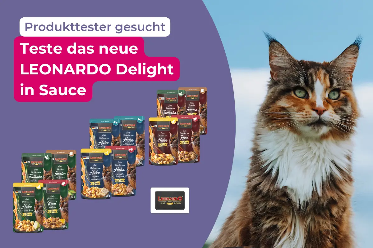 Aufruf zum Produkttest: „Produkttester gesucht – Teste das neue LEONARDO Delight in Sauce“. Rechts steht eine langhaarige Glückskatze, daneben sind verschiedene Katzenfutter-Tüten der Sorte LEONARDO Delight abgebildet.